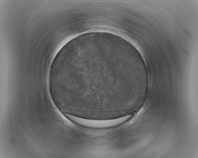 X0000112361533200909031900