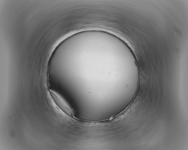 X0000112361534200909031900