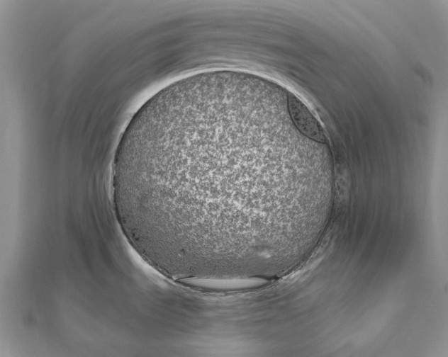 X0000112361535200909031900