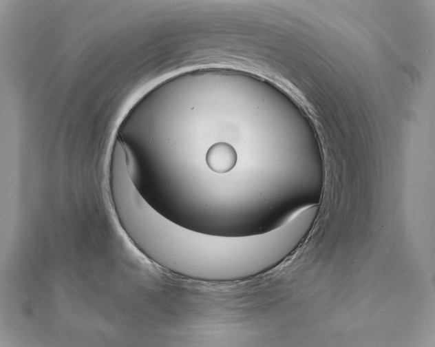 X0000112361536200909031900