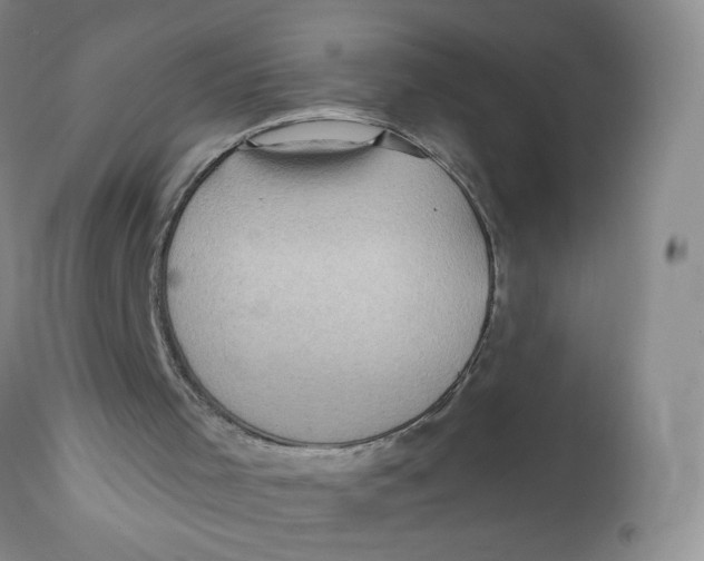 X0000112360001200909101309