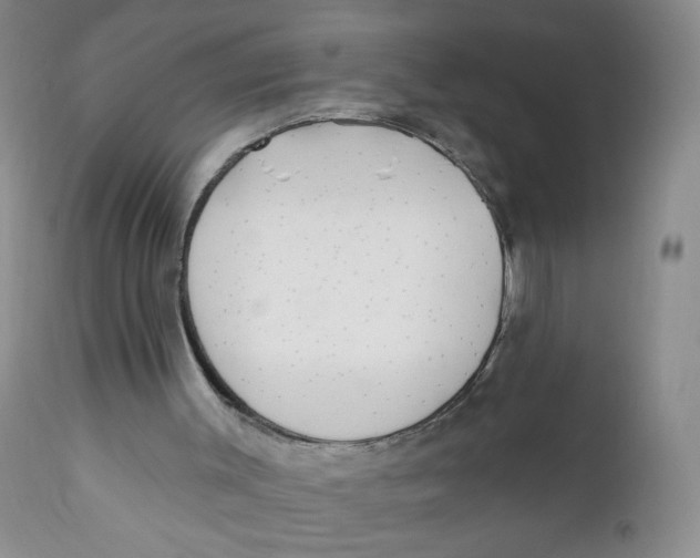 X0000112360003200909101309