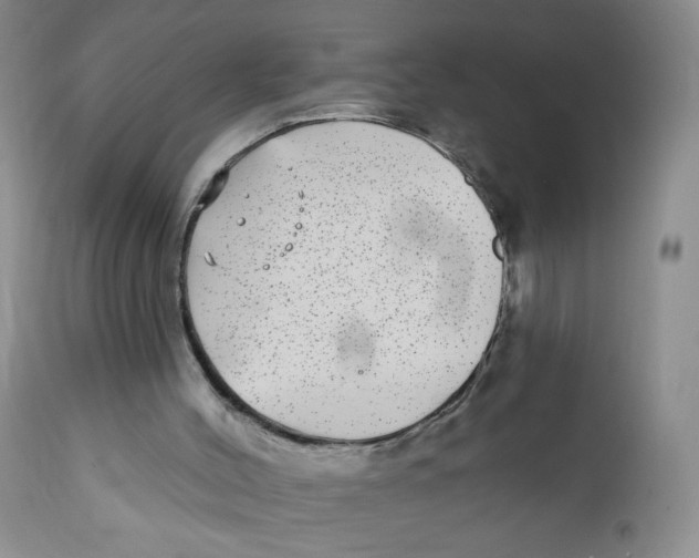 X0000112360004200909101309