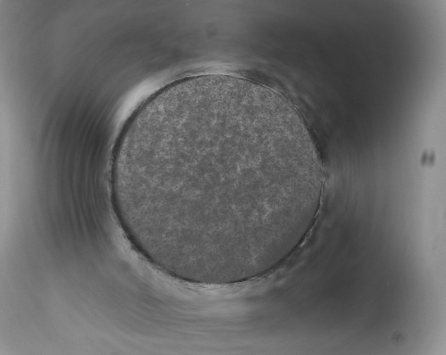 X0000112360006200909101309