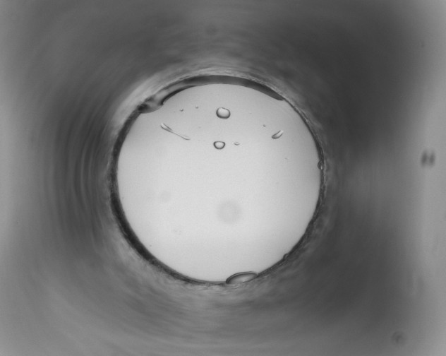 X0000112360007200909101309