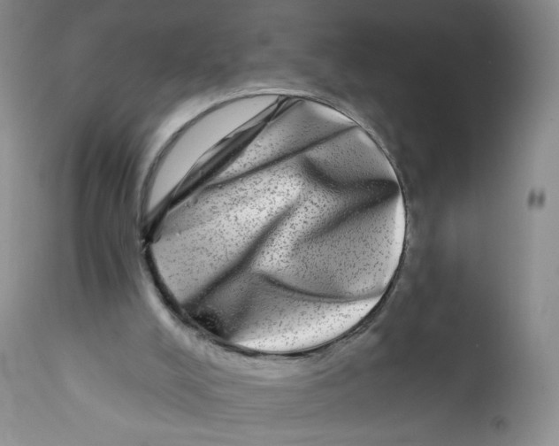 X0000112360008200909101309