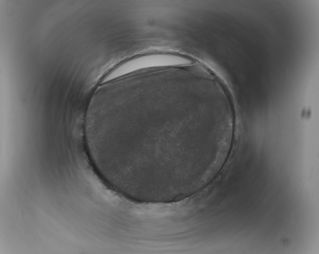X0000112360009200909101309