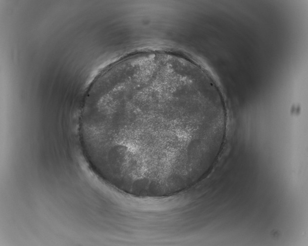 X0000112360010200909101309