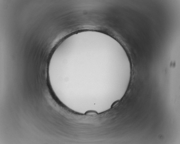 X0000112360011200909101309