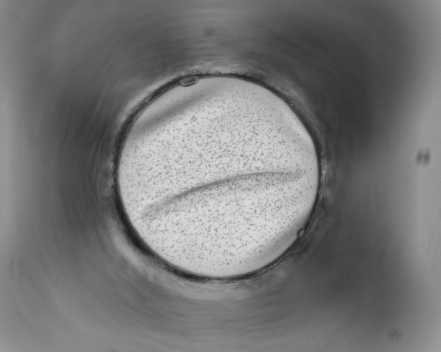 X0000112360012200909101309
