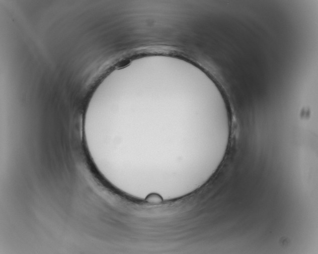 X0000112360013200909101309