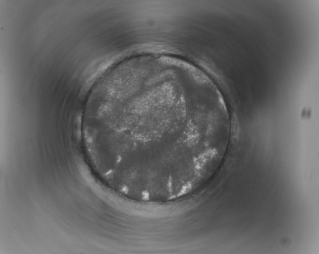 X0000112360014200909101309