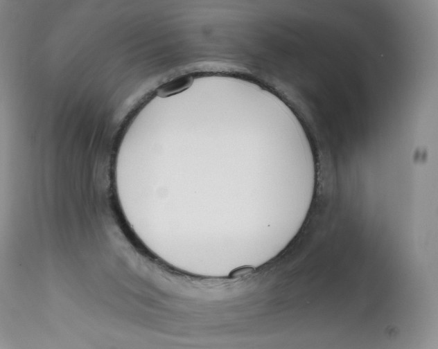 X0000112360015200909101309