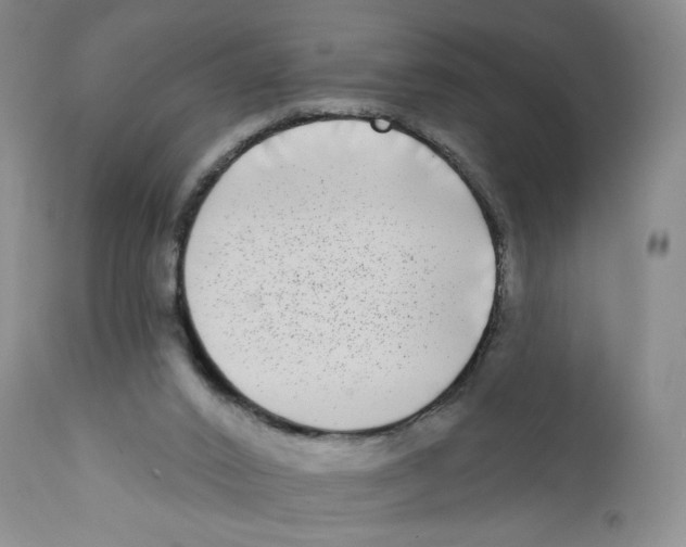 X0000112360016200909101309