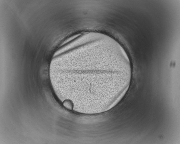X0000112360017200909101309