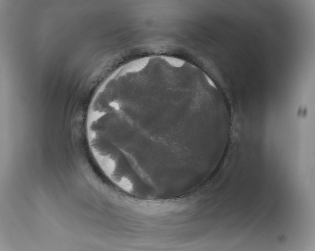 X0000112360018200909101309
