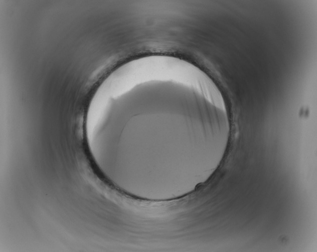 X0000112360019200909101309