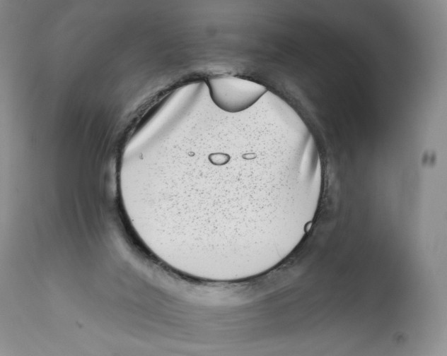 X0000112360020200909101308