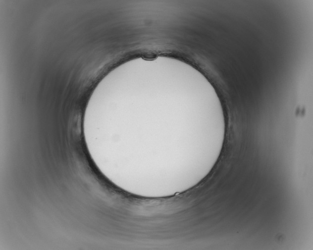 X0000112360021200909101308
