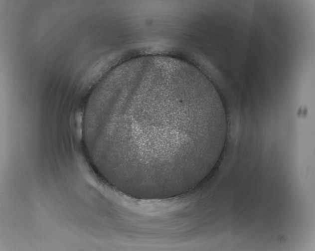 X0000112360022200909101308