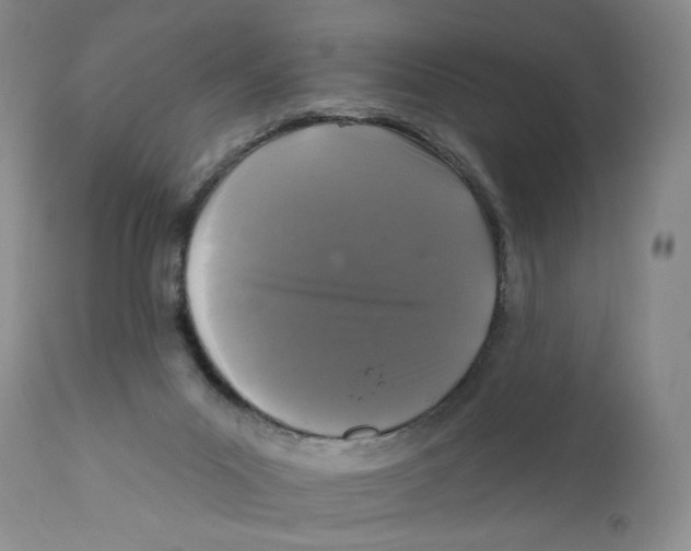 X0000112360023200909101308