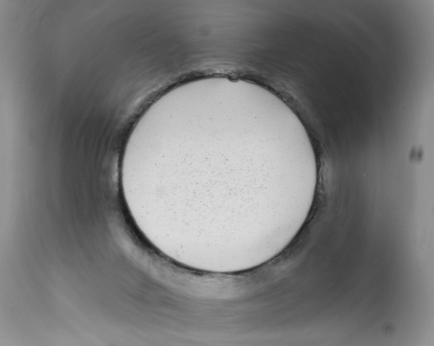 X0000112360024200909101308