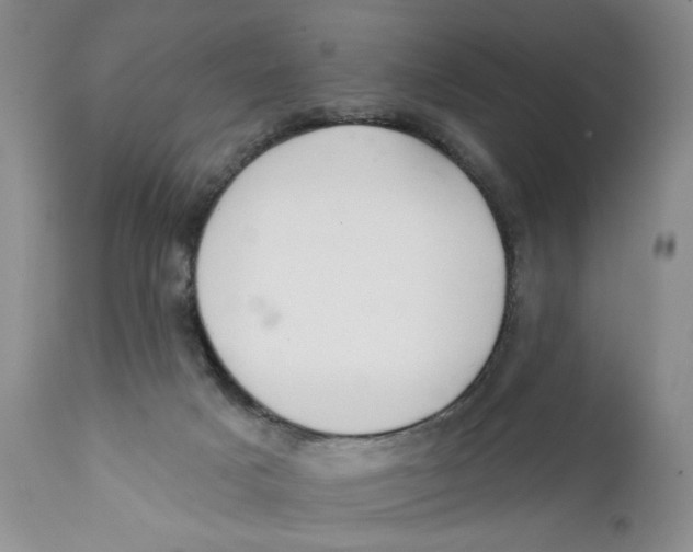 X0000112360025200909101308