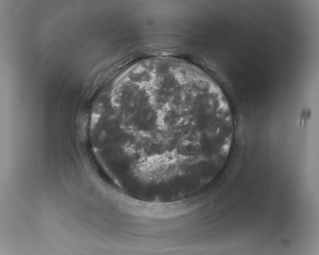 X0000112360026200909101308