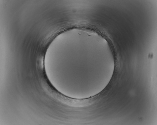 X0000112360027200909101308