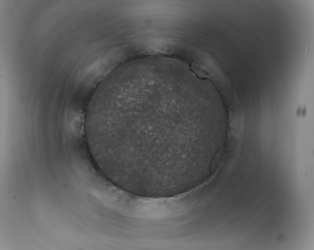 X0000112360029200909101308