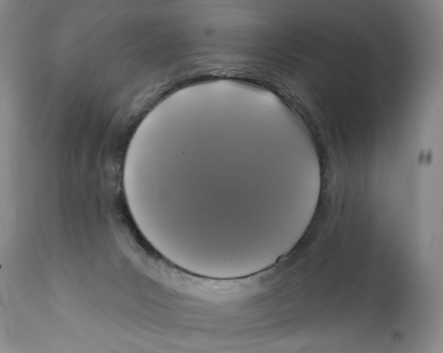 X0000112360031200909101308