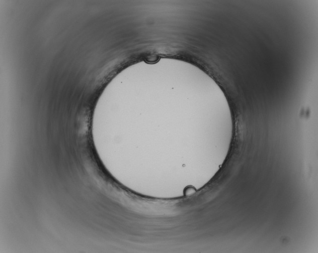 X0000112360032200909101308