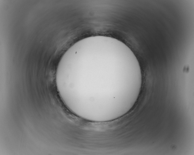 X0000112360033200909101308
