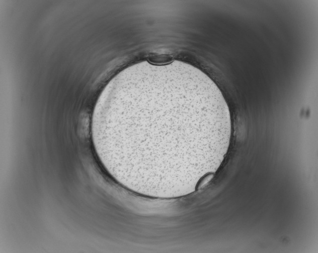 X0000112360036200909101308