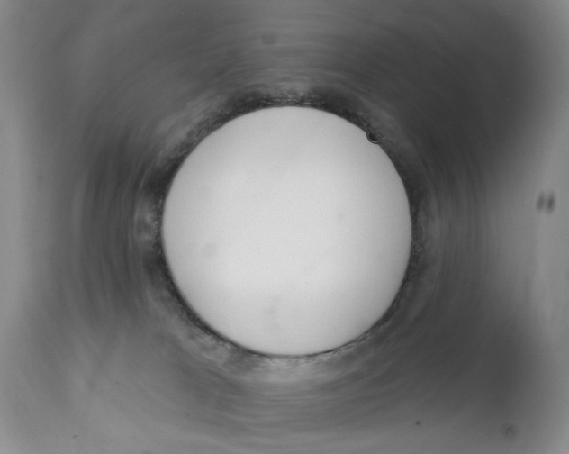 X0000112360037200909101308