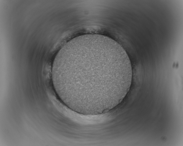 X0000112360038200909101308