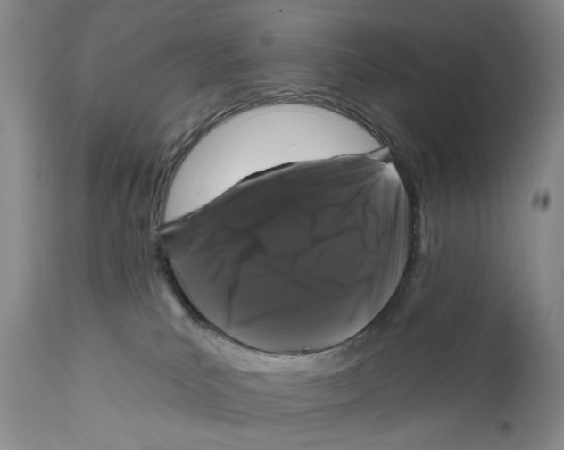 X0000112360039200909101308