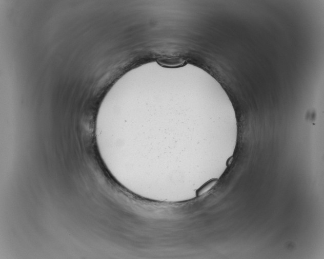 X0000112360040200909101308