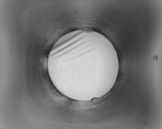 X0000112360041200909101308