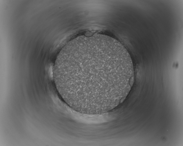 X0000112360042200909101308