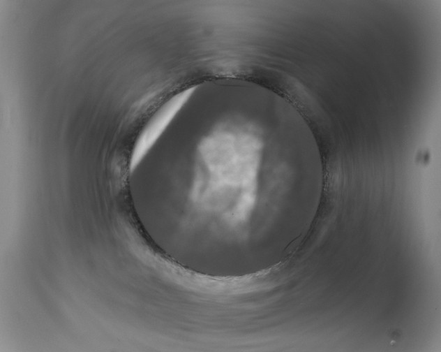 X0000112360043200909101308