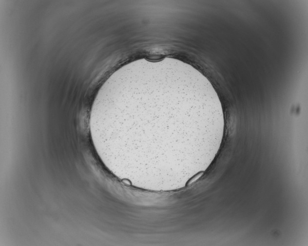 X0000112360044200909101308