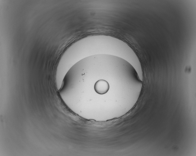 X0000112360045200909101308