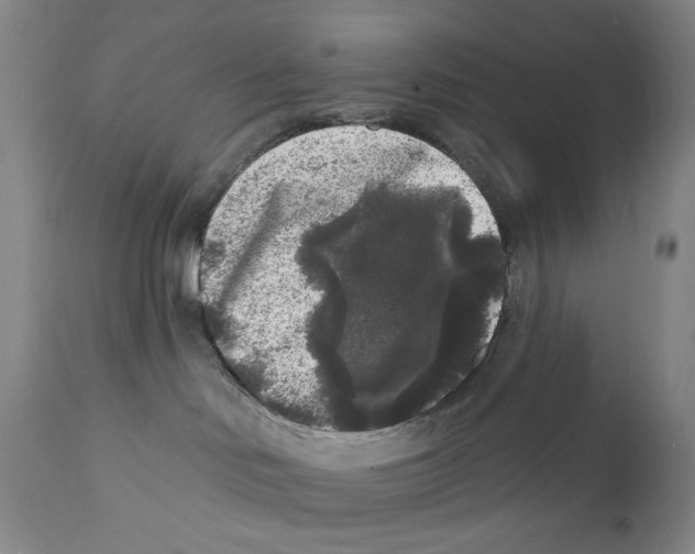 X0000112360046200909101308
