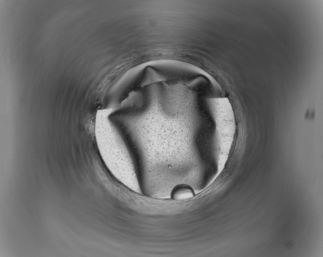 X0000112360048200909101308