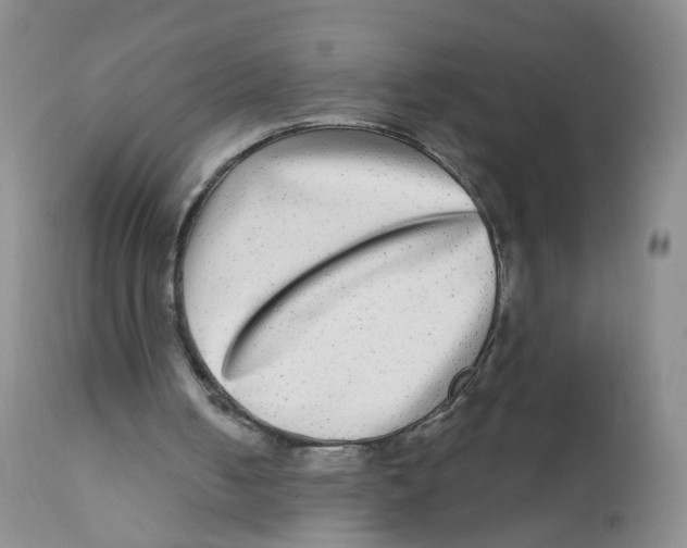 X0000112360050200909101307