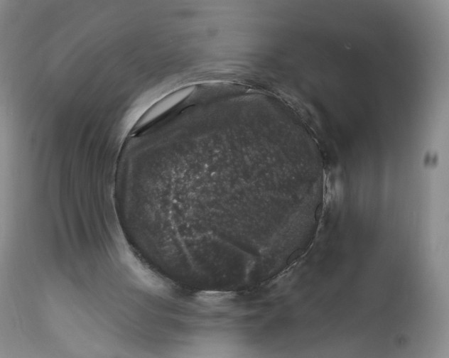 X0000112360051200909101307