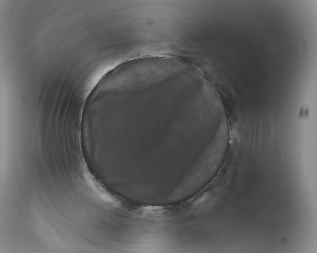 X0000112360052200909101307
