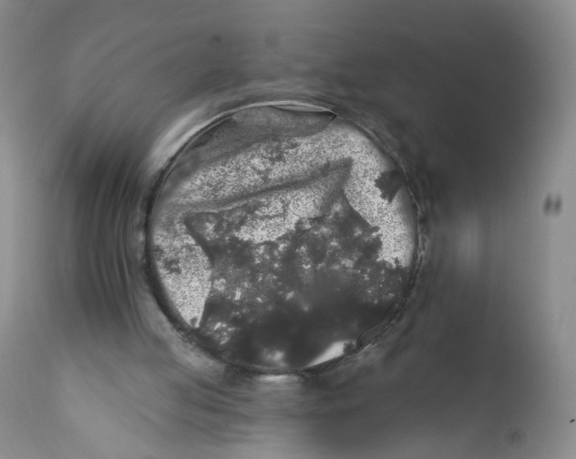 X0000112360053200909101307
