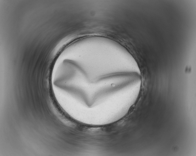 X0000112360054200909101307